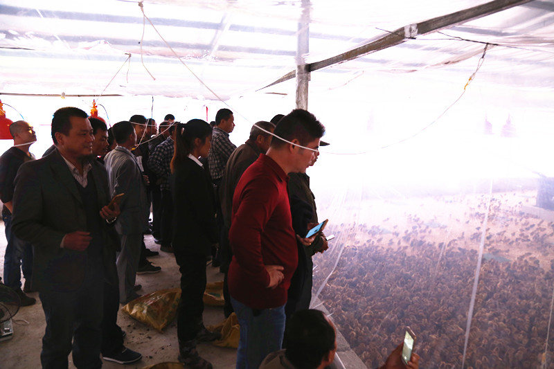 廣西麻豆乱码国产一区二区三区農牧集團