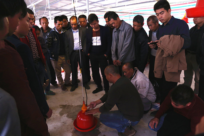 廣西麻豆乱码国产一区二区三区農牧集團