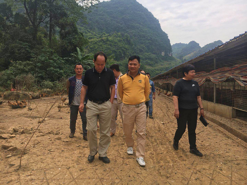 廣西麻豆乱码国产一区二区三区農牧集團