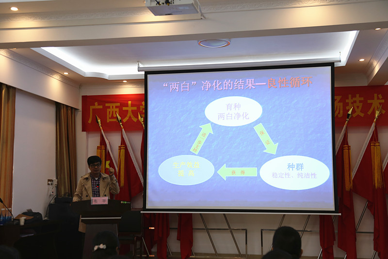 廣西麻豆乱码国产一区二区三区農牧集團